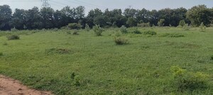 Plot Area in  Plot at Sangareddy – for Sale