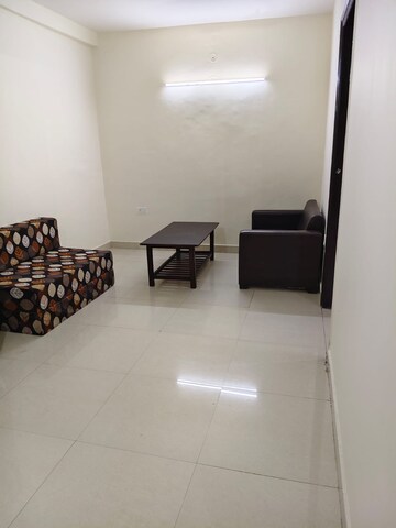 3 BHK Builder Floor For Sale in Sector 14