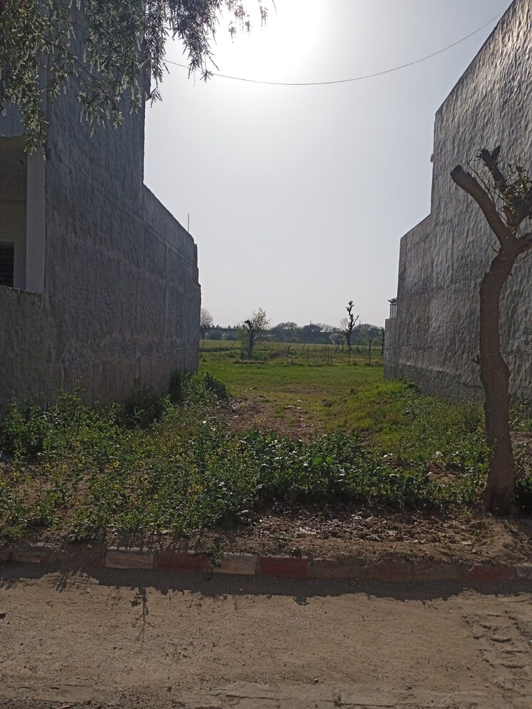 undefined, sector 111  250 Sq.Yd. Plot In Sector 111 Mohali 9041944
