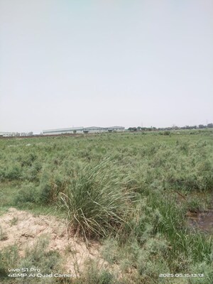  Industrial Plot For Sale in Sarurpur Industrial Area