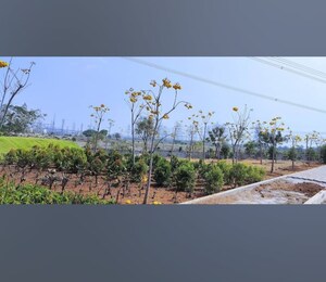 Plot Area in  Plot at Silpa Kohinoor, Kandukur – for Sale