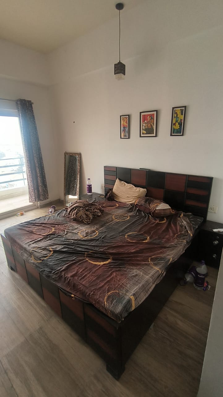 1 BHK Apartment For Rent in Paramount Golfforeste