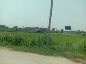 Plot Area in  Plot at Altus The Junction, Saini Majra – for Sale