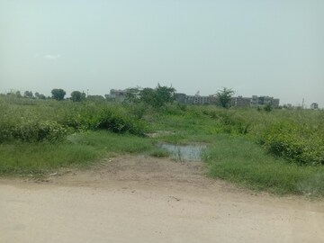 Plot Area in  Plot at Altus The Junction, Saini Majra – for Sale