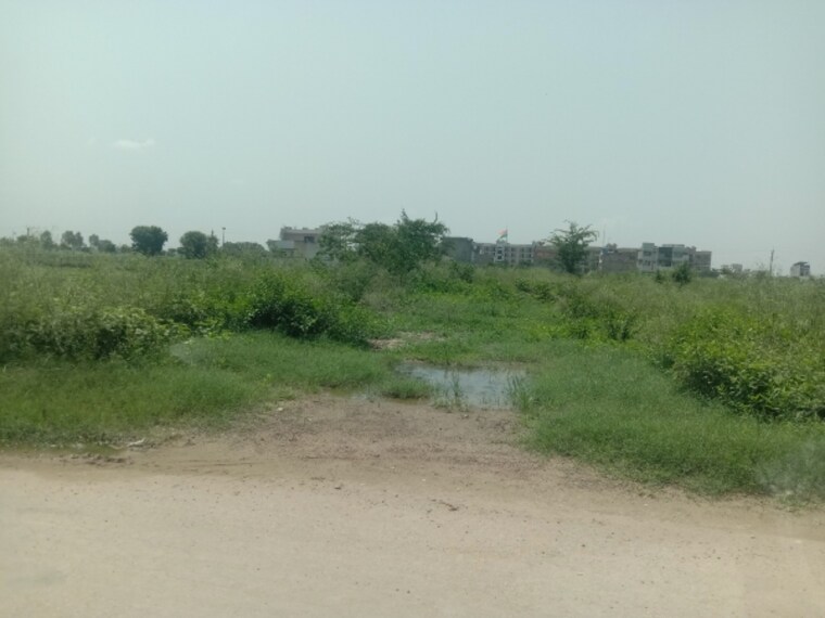 undefined, altus-the-junction  175 Sq.Yd. Plot In Saini Majra Chandigarh 9042479