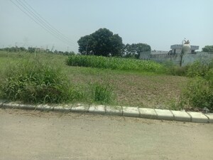  Plot For Sale in Altus Muirwood Ecocity, North Kharar