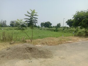  Plot For Sale in Altus Muirwood Ecocity, North Kharar