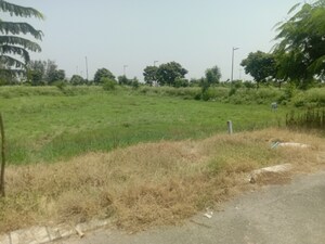 Plot Area in  Plot at Altus Muirwood Ecocity, North Kharar – for Sale