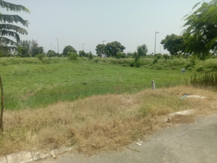 undefined, altus-muirwood-ecocity  335 Sq.Yd. Plot In North Kharar Chandigarh 9042656