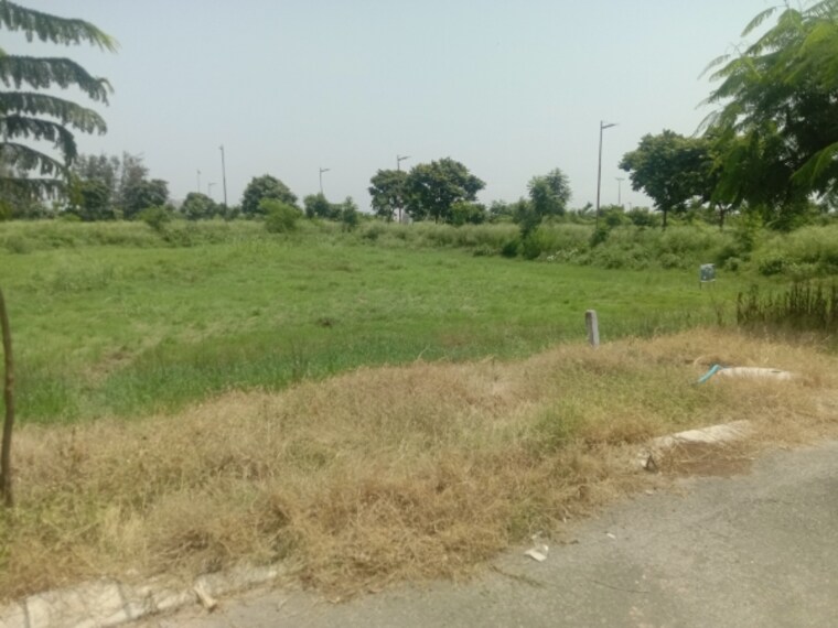undefined, altus-muirwood-ecocity  335 Sq.Yd. Plot In North Kharar Chandigarh 9042656