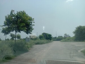 Plot Area in  Plot at Altus Muirwood Ecocity, North Kharar – for Sale