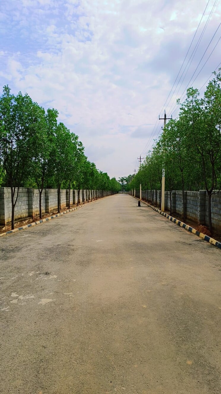 Exterior View, skh-echium  1200 Sq.Ft. Plot In Whitefield Bangalore 9042724