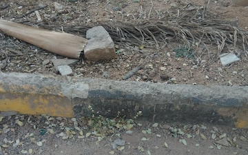 Plot For Sale in Kukatpally
