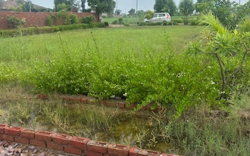 Plot For Sale in Barsana