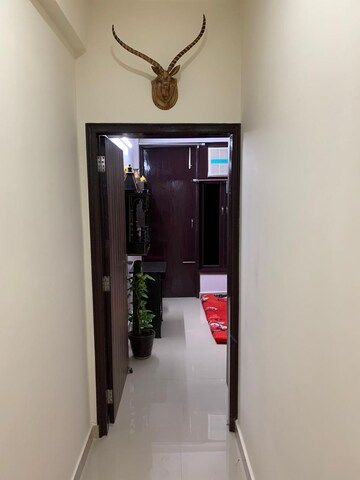 2 BHK Builder Floor For Rent in Patel Nagar