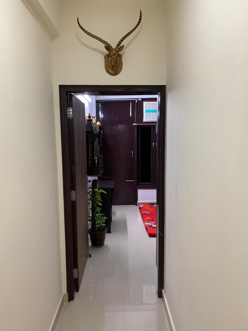 2 BHK Builder Floor For Rent in Patel Nagar