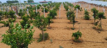 Plot Area in  Plot at Korremula – for Sale