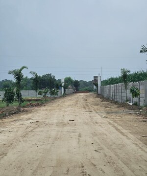 Plot Area in  Plot at Modipuram – for Sale