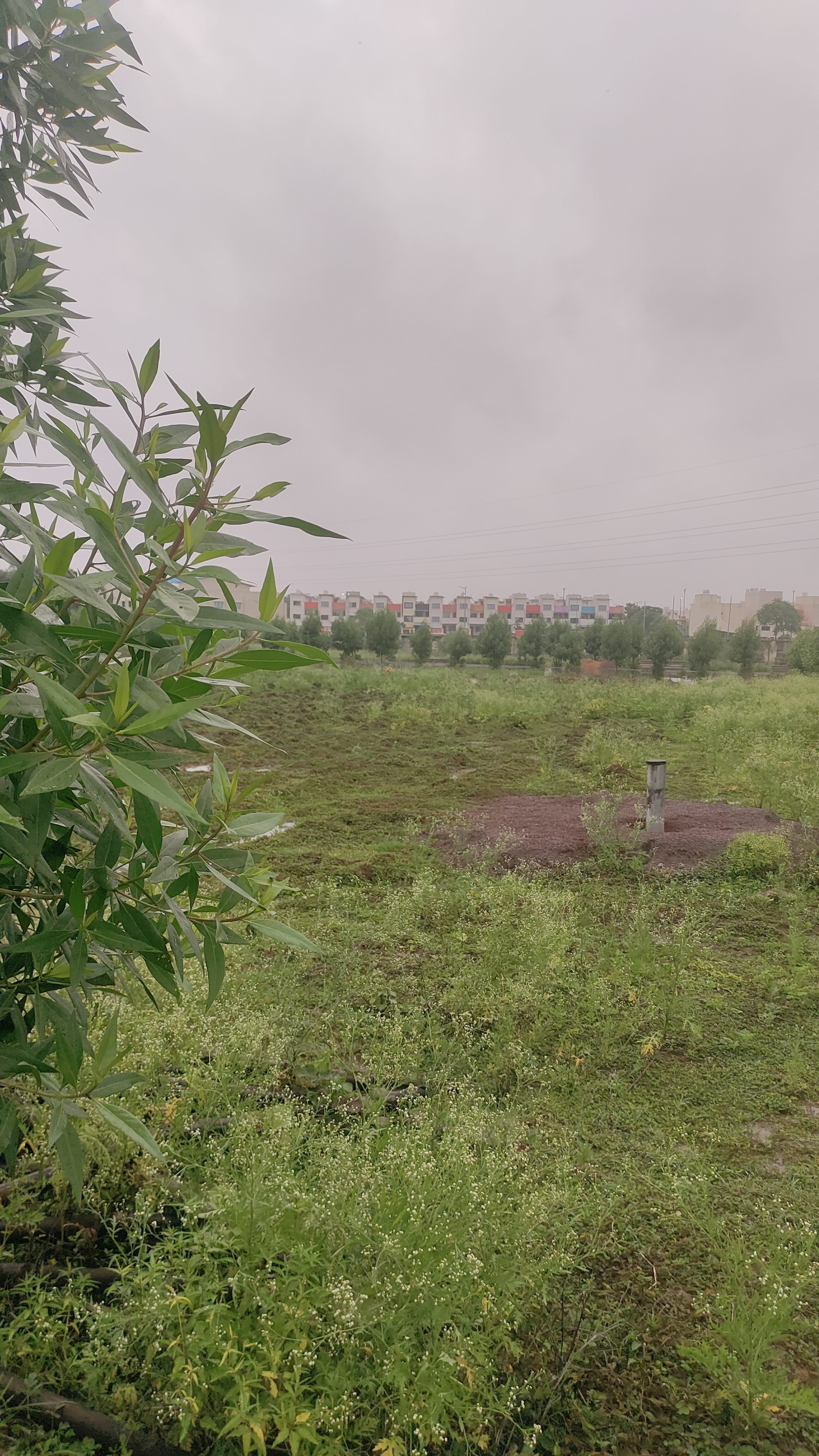 Plot For Sale in Anandvan