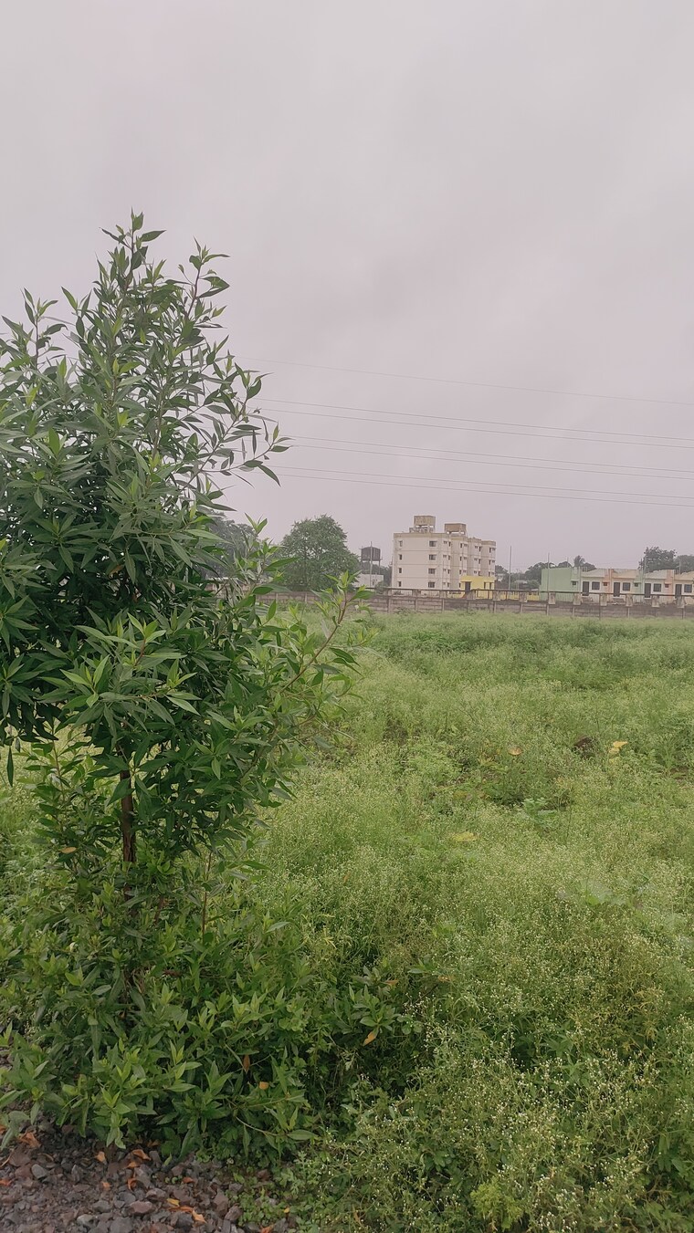 undefined, sejbahar  7000 Sq.Ft. Plot In Sejbahar Raipur 9043549