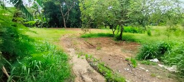 Plot Area in  Land at Marathakkara – for Sale