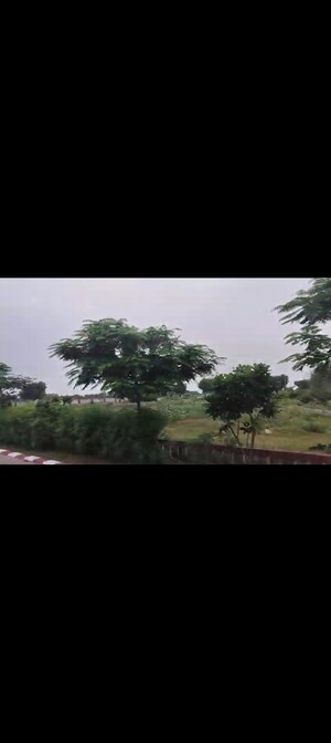 Plot Area in  Plot at Riyasat Town, Shivdaspura – for Sale
