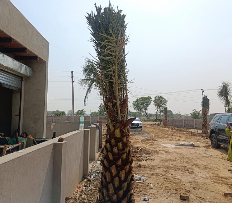 Balcony, jattari  127 Sq.Yd. Plot In Jattari Aligarh 9043942