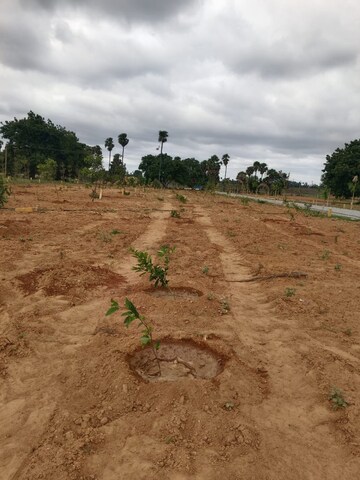 Plot Area in  Plot at Yadagirigutta – for Sale