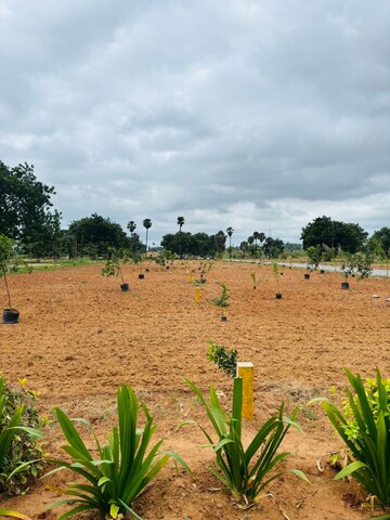  Plot For Sale in Yadagirigutta