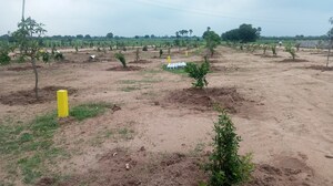 Plot Area in  Plot at JB Nature Valley, Choutuppal – for Sale