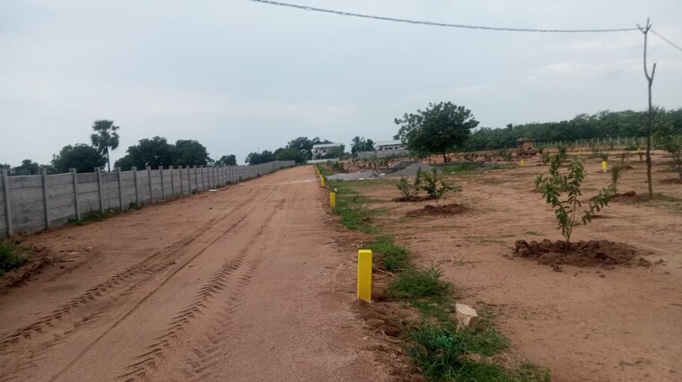 undefined, jb-nature-valley  200 Sq.Yd. Plot In Choutuppal Hyderabad 9044815