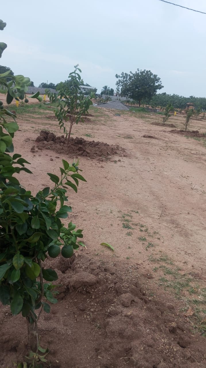 Plot For Sale in JB Nature Valley