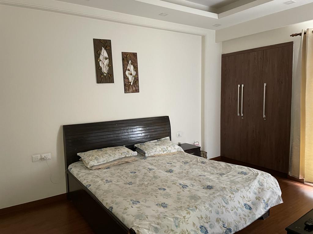 3 BHK + Servant Room Builder Floor For Rent in Builder Floor Dlf Phase 2