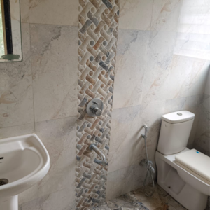 Bathroom in 2 BHK Apartment at Paramount Altissimo, Wakad – for Sale