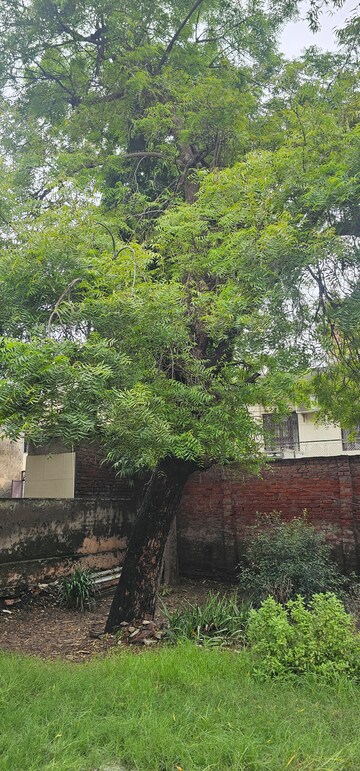  Plot For Sale in Sgm Nagar