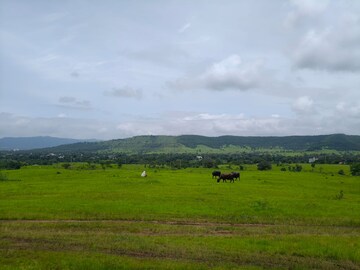 Plot Area in  Plot at Khandala – for Sale