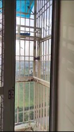 1 BHK 580 Sq.Ft. Apartment in Wave Dream Homes