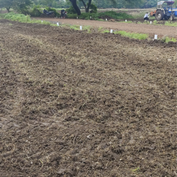 Plot Area in  Plot at Pathardi Shivar – for Sale