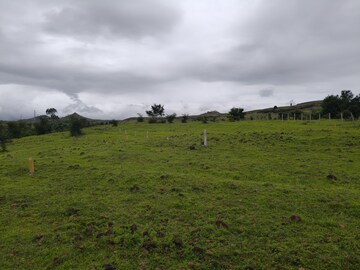 Plot Area in  Plot at Purandar – for Sale