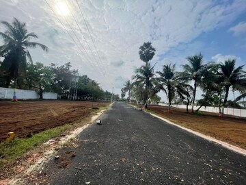 Plot For Sale in Pattipulam