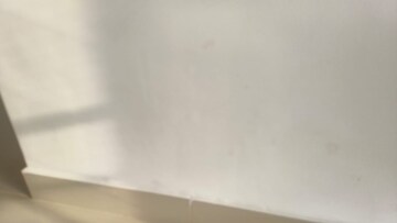 3 BHK Apartment For Rent in Prestige Sunrise Park, Electronic City Phase I