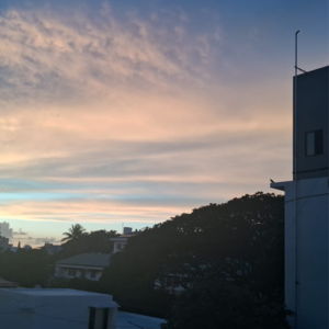  Plot For Sale in Castel Rock, Jayamahal Extn