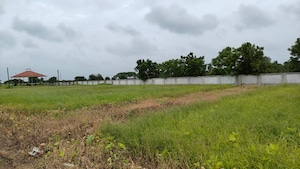  Land For Sale in Palsana