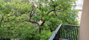 4 BHK Apartment – Garden View at Greater Kailash ii - for Rent
