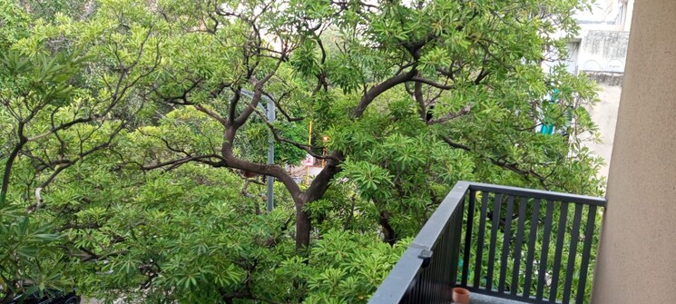 Garden, greater kailash ii 4 Bedroom 2700 Sq.Ft. Apartment In Greater Kailash ii Delhi 9046537