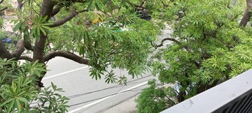 Balcony in 4 BHK Apartment at Greater Kailash ii – for Rent