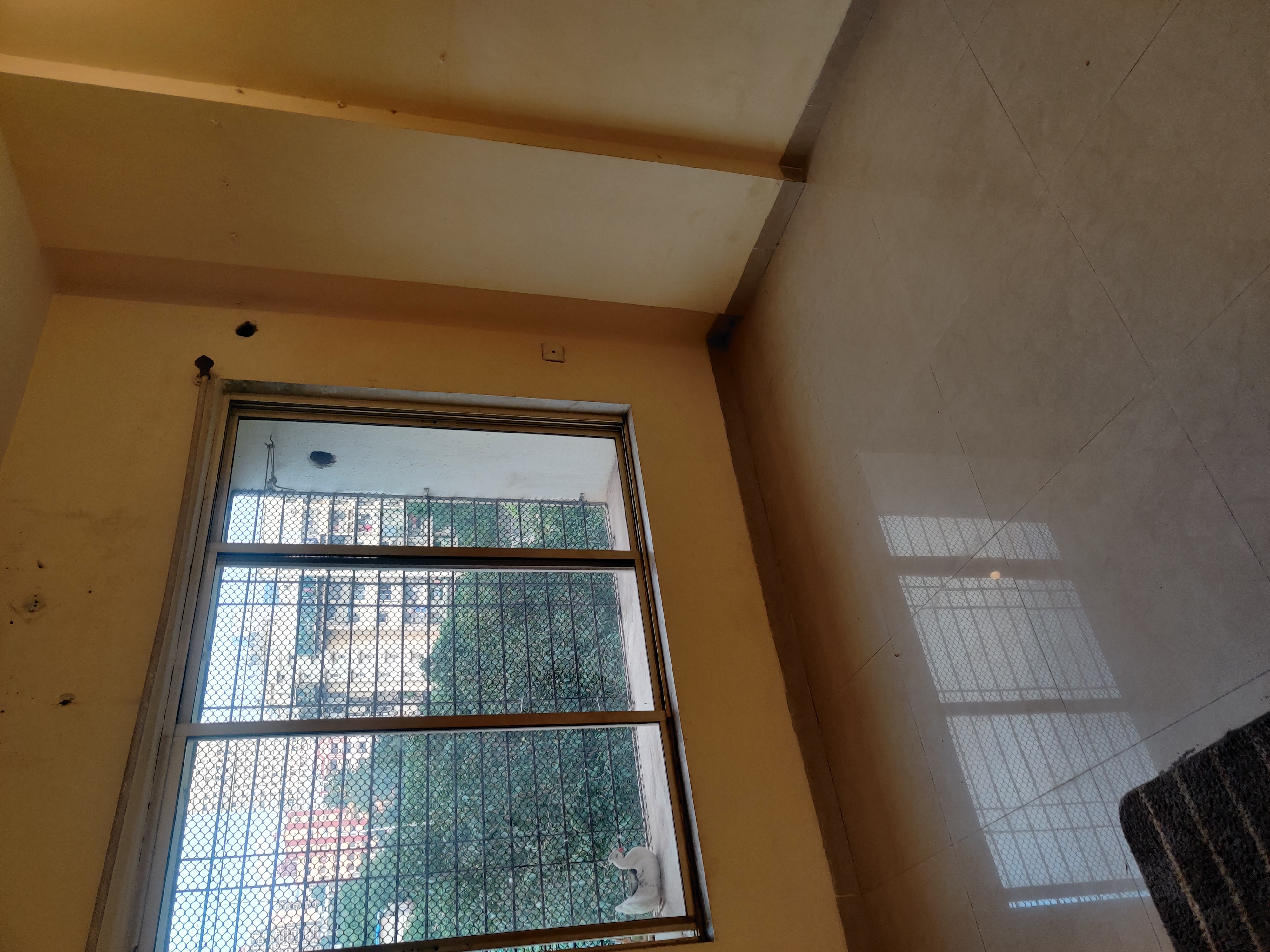 1 BHK Apartment For Rent in Kingston Heights