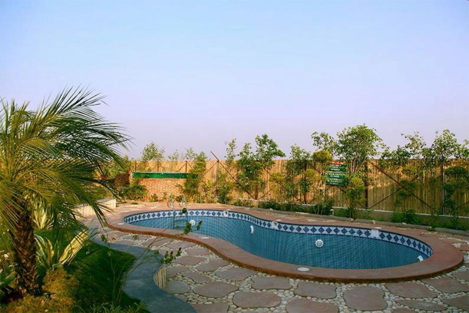 1 BHK 9000 Sq.Ft. Villa in SS Sainik Farms