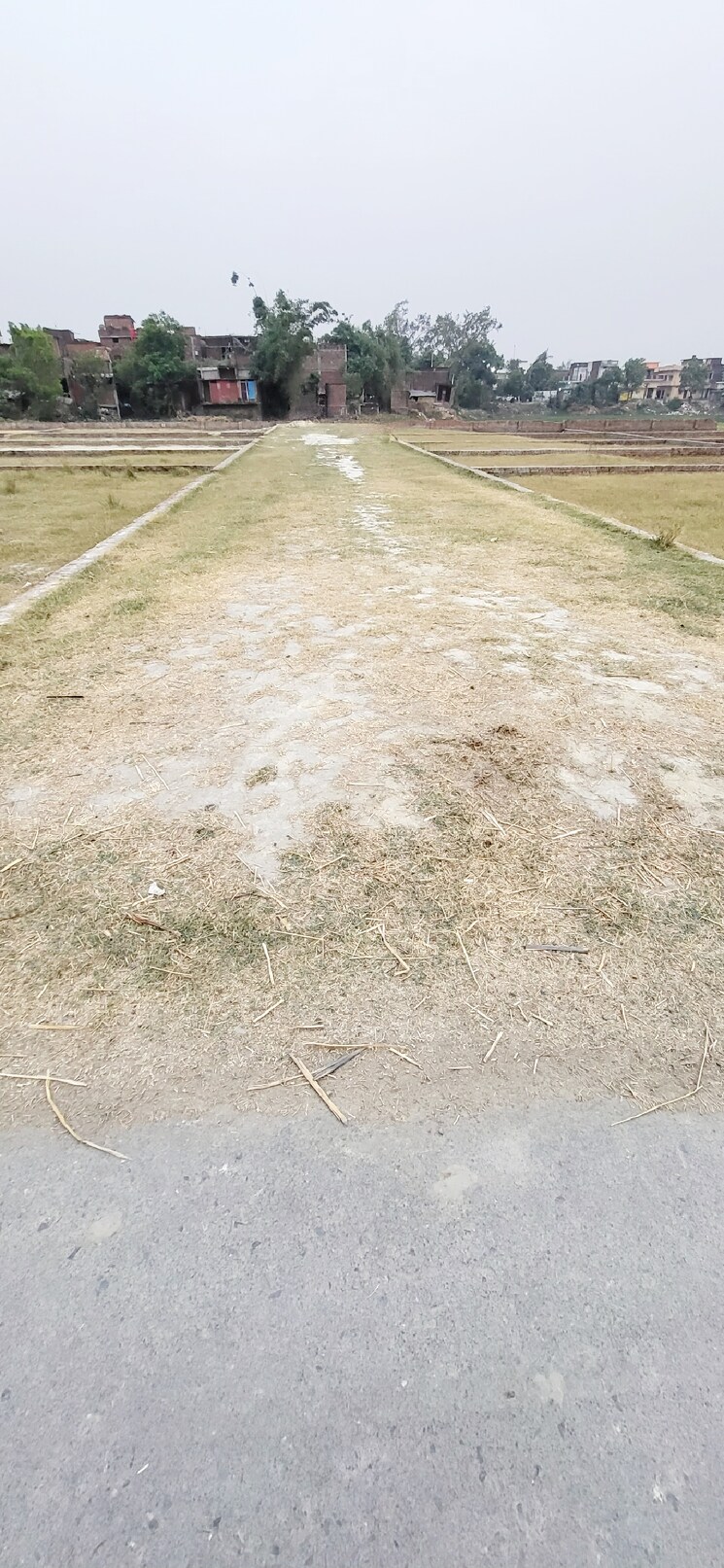 undefined, kasia  1100 Sq.Ft. Plot In Kasia Kushinagar 9046982