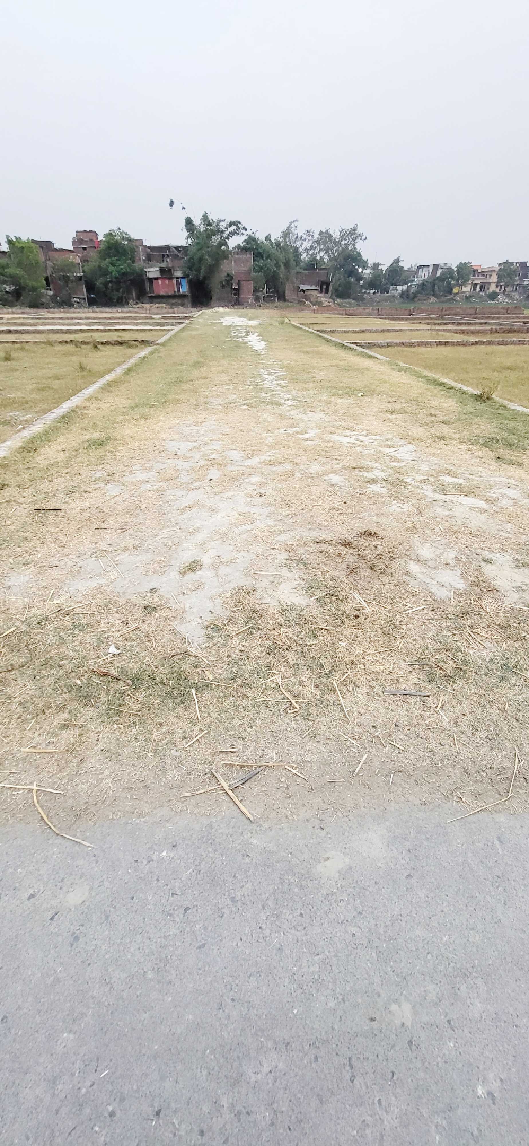 Plot For Sale in Amv Realty 